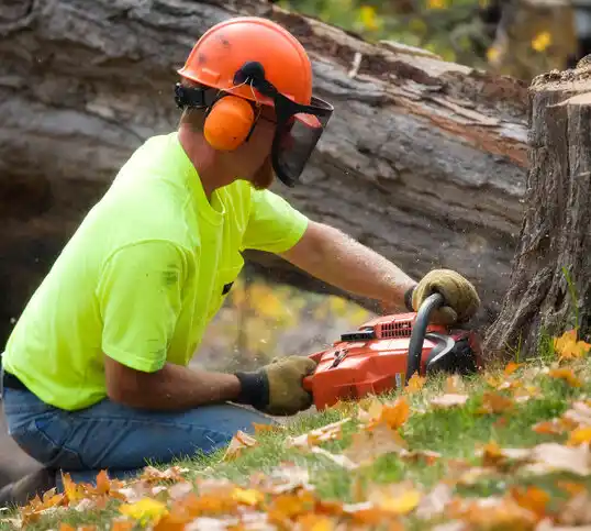 tree services Rowland